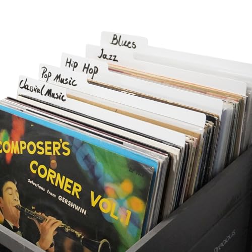 30,5 cm große Vinyl-Schallplatten-Trennblätter, weiß, doppelseitig, Kunststoff, Kategorie-Tab, DIY, Vinyl, LP, Album, Trennblätter für Vinyl, CDs, Alben, Kisten und DVD-Organisation (20) von MayRecords