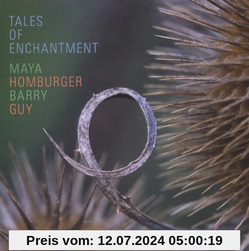 Tales of Enchantment von Maya Homburger