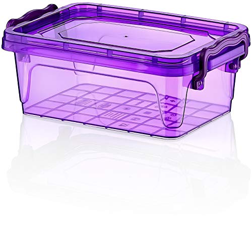 Maya Professionelles Werkzeug 021148 Multibox Bombon 600 ml LILA/Fuchsia/Orange/Grün sortiert Maya Professionelles Werkzeug 021148 Multibox Bombon 600 ml LILA/Fuchsia/Orange/Grün sortiert von Hobby Life
