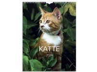 Vægkalender Katte 29,5x39cm 2024 0663 00 von Mayland-Burde A/S