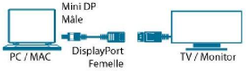 MCL MC396-0.15M DisplayPort-Kabel 0,15 m Mini DisplayPort Schwarz (MC396-0.15M) von Mcl