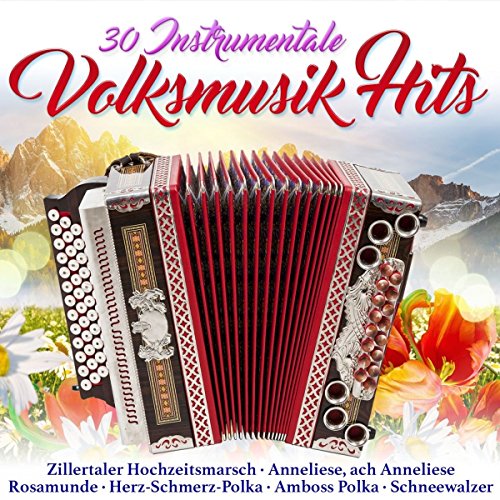 30 instrumentale Volksmusik Hits von Mcp/Vm (Mcp Sound & Media)