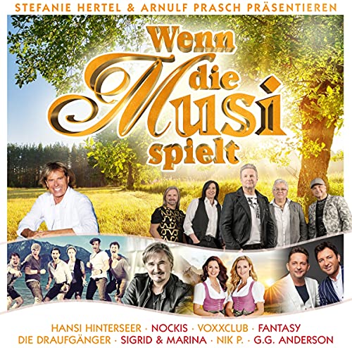 Wenn die Musi spielt von Mcp Sound (Mcp Sound & Media)
