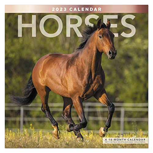 Mead LME1591023 Wandkalender 2023, Pferde, 16 Monate, 30,5 x 30,5 cm von Mead