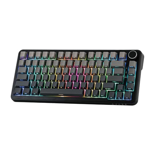 MechLands AK820 MAX HE Hall-Effekt Magnetic Gaming Keyboard, einstellbare Betätigung, 8KHz Polling Rate, Wired Rapid Fast Keyboard, cremefarbene Dichtung, RGB, NKRO für Win/Mac (Farbverlauf Grau) von MechLands