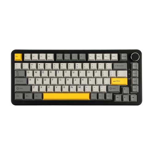 MechLands AK820 MAX HE Hall-Effekt Magnetic Gaming Keyboard, einstellbare Betätigung, 8KHz Polling Rate, Wired Rapid Fast Keyboard, cremefarbene Dichtung, RGB, NKRO für Win/Mac (Schwarz) von MechLands