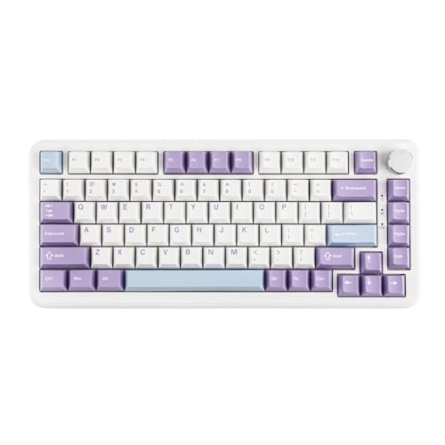 MechLands AK820 MAX HE Hall-Effekt Magnetic Gaming Keyboard, einstellbare Betätigung, 8KHz Polling Rate, Wired Rapid Fast Keyboard, cremefarbene Dichtung, RGB, NKRO für Win/Mac (Weiß) von MechLands