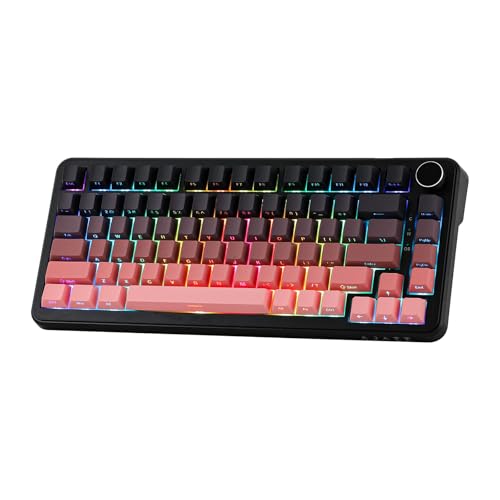 MechLands AK820 MAX HE Hall-Effekt Magnetic Gaming Keyboard, einstellbare Betätigung, 8KHz Polling Rate, Wired Rapid Fast Keyboard, cremefarbene Dichtung, RGB, NKRO für Win/Mac (Schwarz Rosa) von MechLands