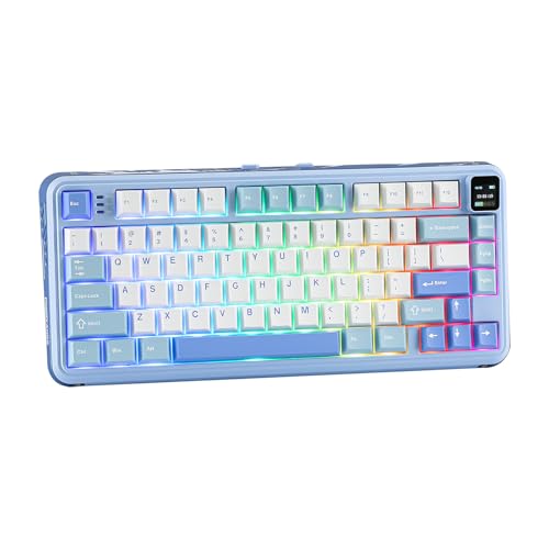 MechLands Vibe75 75% Wireless Gaming Keyboard mit Screen&Knob Module, Dichtung Mechanische Tastatur, Creamy Keyboard mit BT5.0/2.4GHz/USB-C, 5-Layer Polsterung, RGB (Blau) von MechLands
