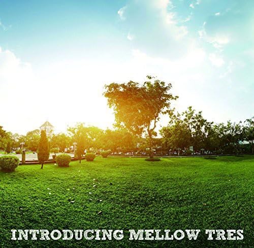 Introducing Mellow Tres / Various von Media Factory