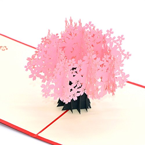 Medigy 3D Pop Up Grußkarten Kirschblüten Leere Karten für die meisten Gelegenheiten von Medigy