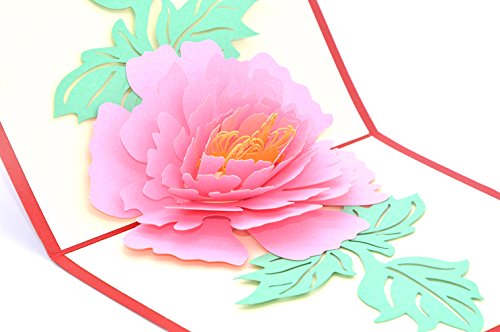 Medigy 3D Pop Up Grußkarten Pfingstrose Flower Blank Karten für die meisten Gelegenheiten Pink von Medigy