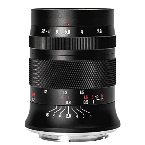 Meike 60mm F2.8 Vergrößerung Makro Manual Focus APS-C Objektiv Kompatibel mit Canon EF-M Mount Kameras M6 M6 Mark II M5 M5 Mark II M3 M2 M10 M50 M100 M200 von Meike