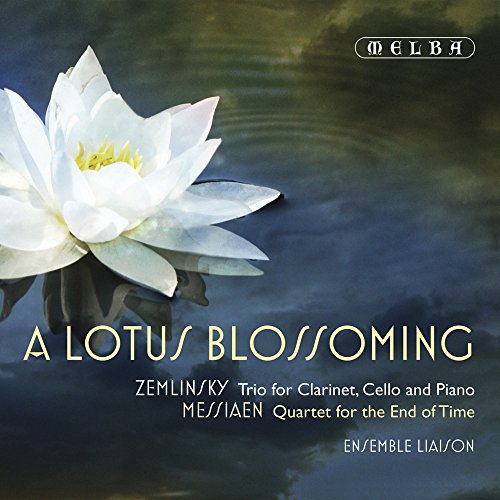 A Lotus Blossoming von Melba (Klassik Center Kassel)