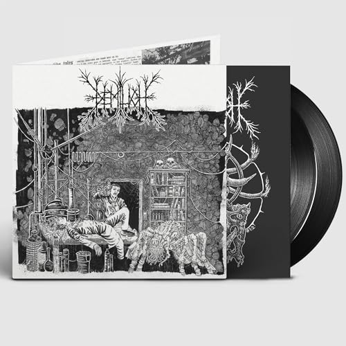 Emptiness of Vanshing / Vanishing of Emptiness [Vinyl LP] von Membran