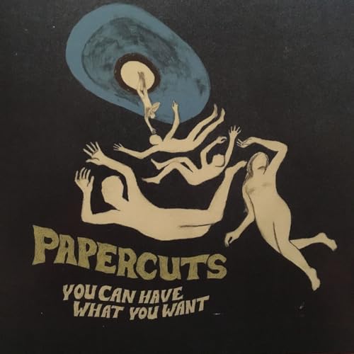 You Can Have What You Want [Vinyl LP] von Memphis Industries (Indigo)