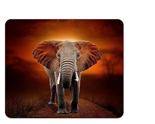Merchandise for Fans Mauspad/Mouse Pad Textil | Rückseite Kautschuk | rutschfest | 22 x 18 cm |für alle Maustypen |Büro und Gamer| Motiv: Afrikanischer Elefant | 01 von Merchandise for Fans