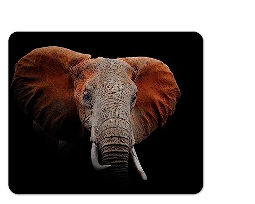 Merchandise for Fans Mauspad/Mouse Pad Textil | Rückseite Kautschuk | rutschfest | 22 x 18 cm |für alle Maustypen |Büro und Gamer| Motiv: Afrikanischer Elefant | 02 von Merchandise for Fans