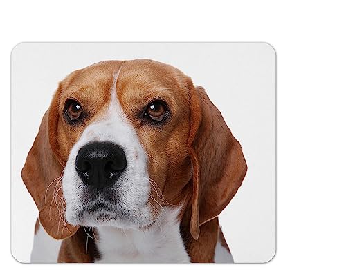 Merchandise for Fans Mauspad/Mouse Pad Textil | Rückseite Kautschuk | rutschfest | 22 x 18 cm |für alle Maustypen |Büro und Gamer| Motiv: Hund Beagle | 02 von Merchandise for Fans
