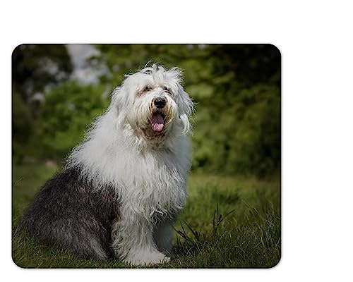 Merchandise for Fans Mauspad/Mouse Pad Textil | Rückseite Kautschuk | rutschfest | 22 x 18 cm |für alle Maustypen |Büro und Gamer| Motiv: Hund Bobtail Old English Sheepdog | 01 von Merchandise for Fans