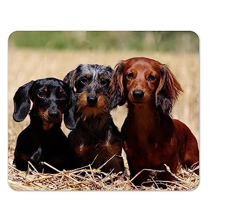 Merchandise for Fans Mauspad/Mouse Pad Textil | Rückseite Kautschuk | rutschfest | 22 x 18 cm |für alle Maustypen |Büro und Gamer| Motiv: Hund Dackel Teckel Dachshund | 01 von Merchandise for Fans