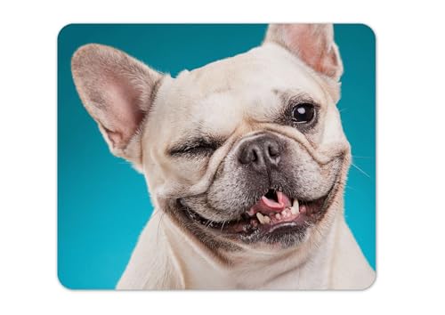 Merchandise for Fans Mauspad/Mouse Pad Textil | Rückseite Kautschuk | rutschfest | 22 x 18 cm |für alle Maustypen |Büro und Gamer| Motiv: Hund Französische Bulldogge | 06 von Merchandise for Fans