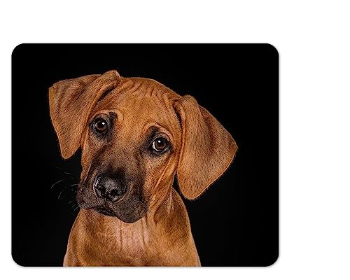 Merchandise for Fans Mauspad/Mouse Pad Textil | Rückseite Kautschuk | rutschfest | 22 x 18 cm |für alle Maustypen |Büro und Gamer| Motiv: Hund Rhodesian Ridgeback | 02 von Merchandise for Fans