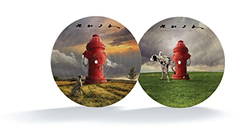 Signals (Ltd.Edition Picture Disc) von Mercury (Universal Music)