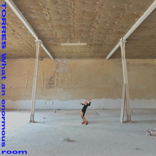 What An Enormous Room [Vinyl LP] von Victrola