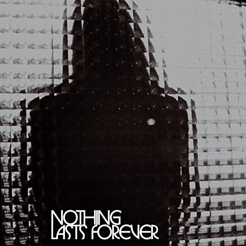 Nothing Lasts Forever [Vinyl LP] von Merge Records