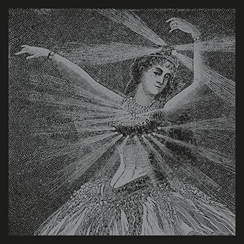 The Collected Works of Neutral Milk Hotel-Box Set [Vinyl LP] von Merge