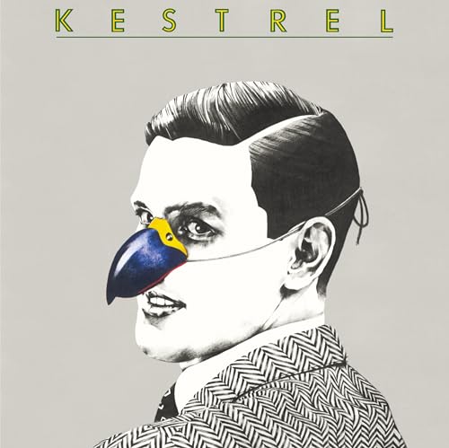 Kestrel [Vinyl LP] von Merry-Go-Round