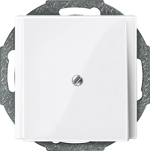 Merten Abdeckung System M Polarweiß 296319 Merten Abdeckung System M Polarweiß 296319 von Merten