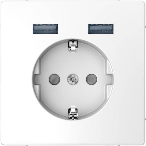 Merten Einsatz System Design Edelstahl MEG2366-6036 von Merten