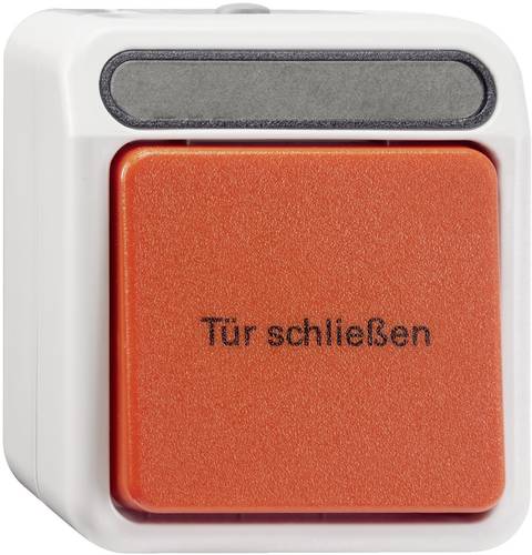 Merten Taster AQUASTAR Lichtgrau MEG3167-8029 Merten Taster AQUASTAR Lichtgrau MEG3167-8029 von Merten