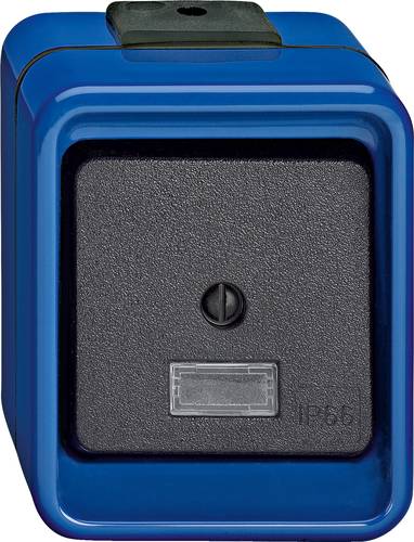 Merten Wechselschalter Blau 370675 Merten Wechselschalter Blau 370675 von Merten