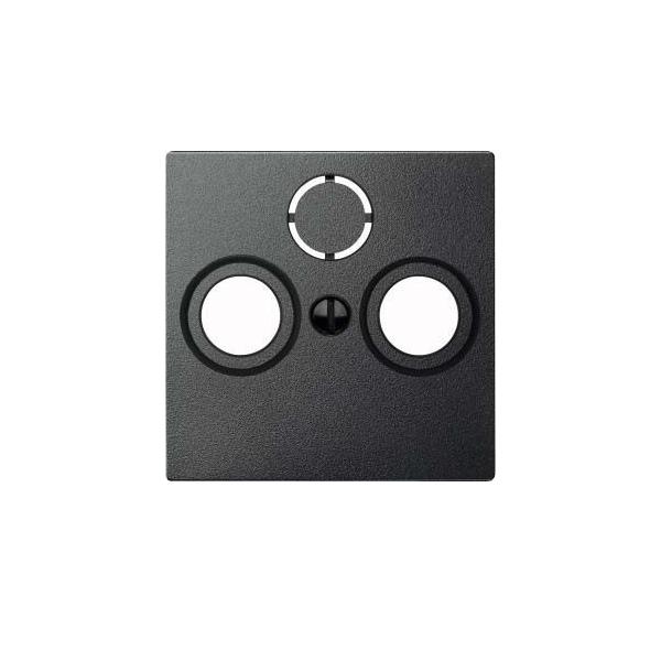 Merten Zentralplatte anth 297514 Merten Zentralplatte anth 297514 von Merten