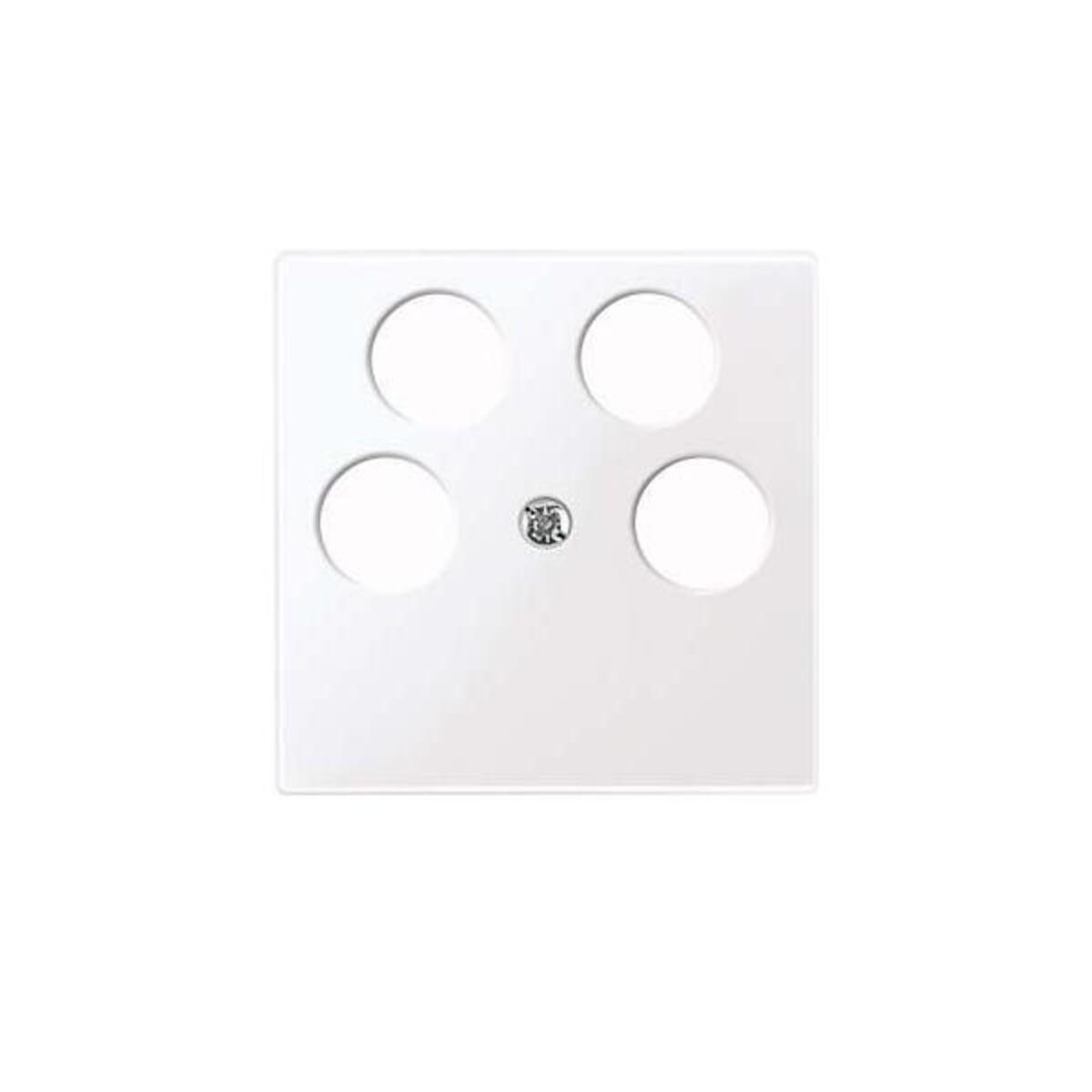 Merten Zentralplatte aws/gl 296525 Merten Zentralplatte aws/gl 296525 von Merten