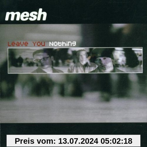 Leave You Nothing von Mesh