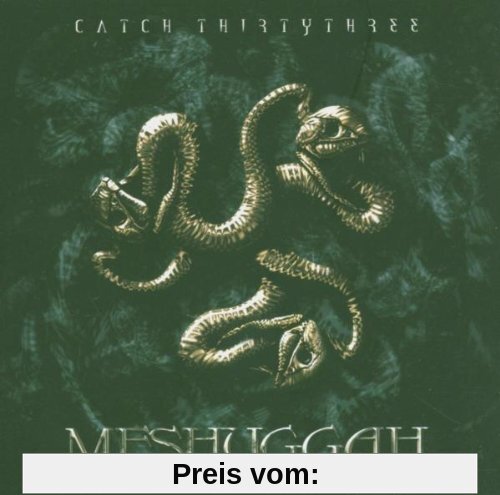 Catch Thirty Three von Meshuggah