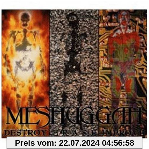 Destroy Erase Improve von Meshuggah