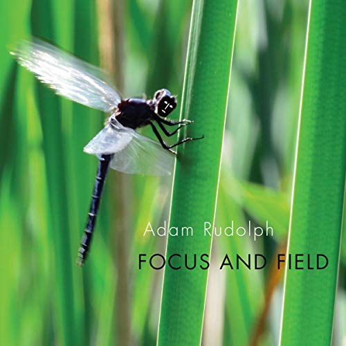 Focus & Field von Meta