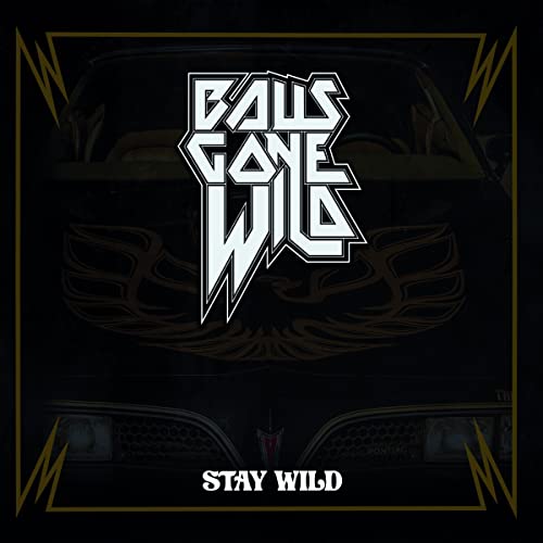 Stay Wild [Vinyl LP] von Metalville (Rough Trade)