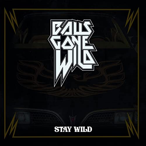 Stay Wild (CD Digipak) von Metalville
