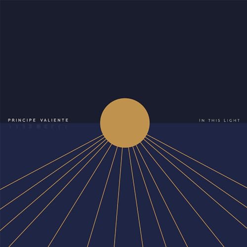 In This Light [VINYL] [Vinyl LP] von Metropolis Records