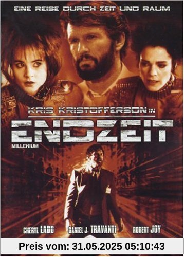 Endzeit - Millennium von Michael Anderson