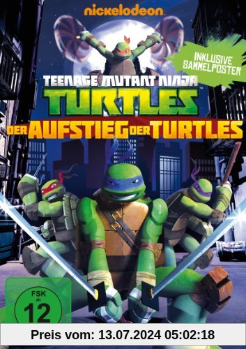 Teenage Mutant Ninja Turtles - Der Aufstieg der Turtles [inkl. Sammelposter] von Michael Chang