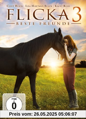 Flicka 3 - Beste Freunde von Michael Damian