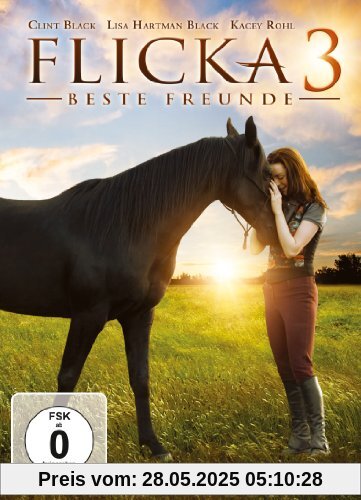 Flicka 3 - Beste Freunde von Michael Damian