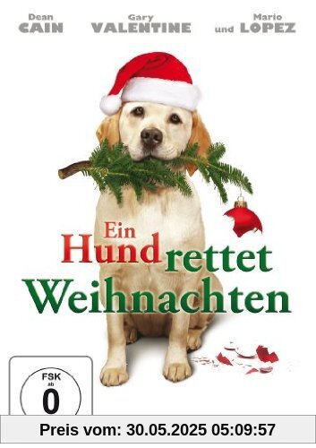 Ein Hund rettet Weihnachten von Michael Feifer